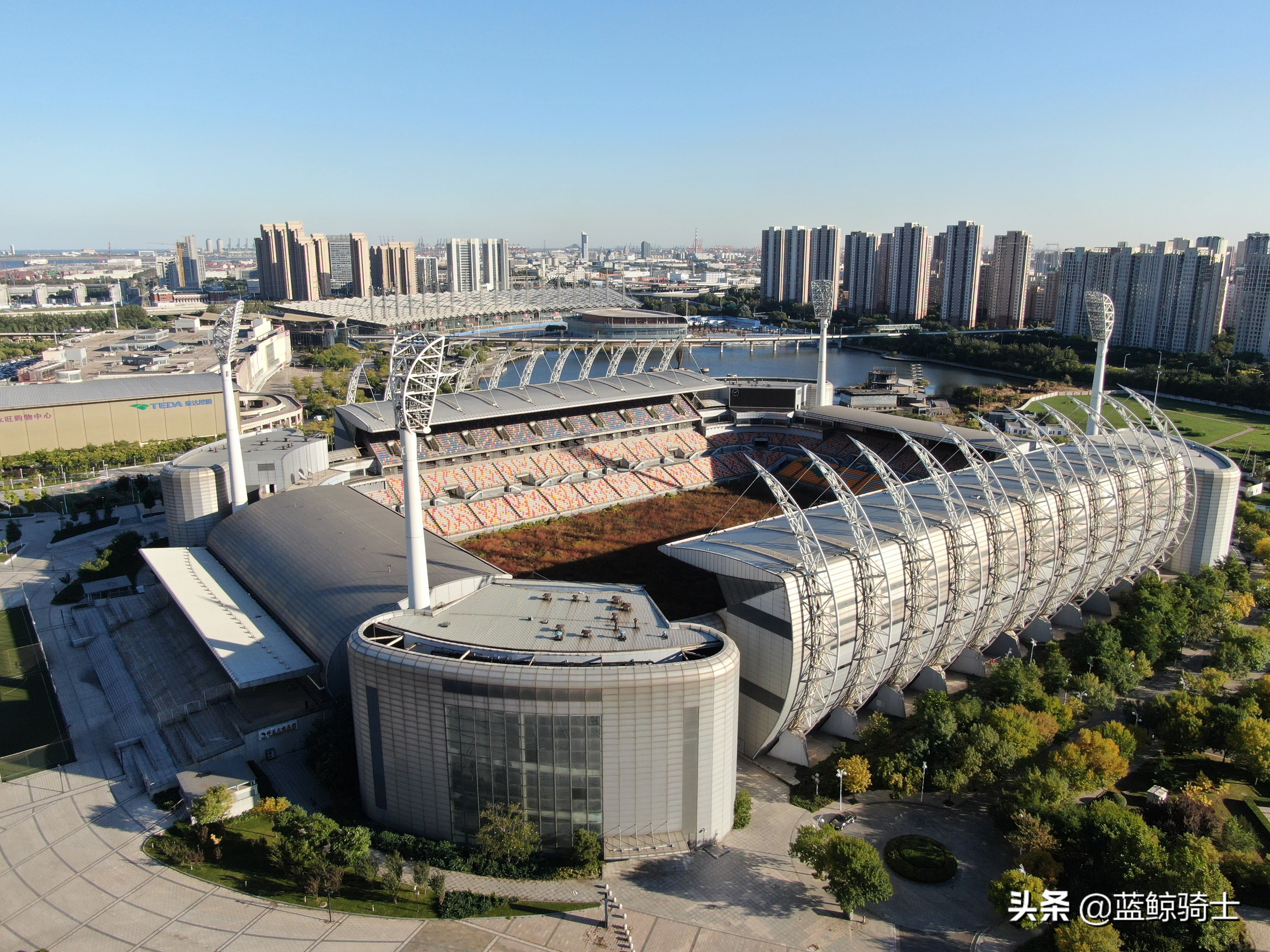 天津泰达专业球场,天津泰达第一座专业足球场