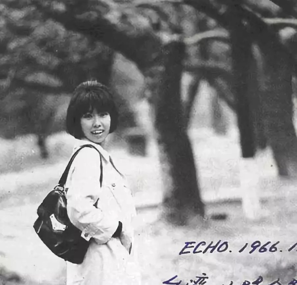 无营销,无营销内容