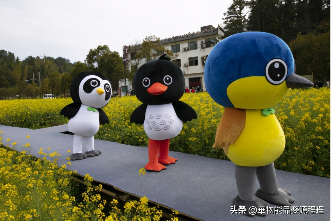 婺源这片仙境般的油菜花田已上线！超级美腻！赶紧约起来