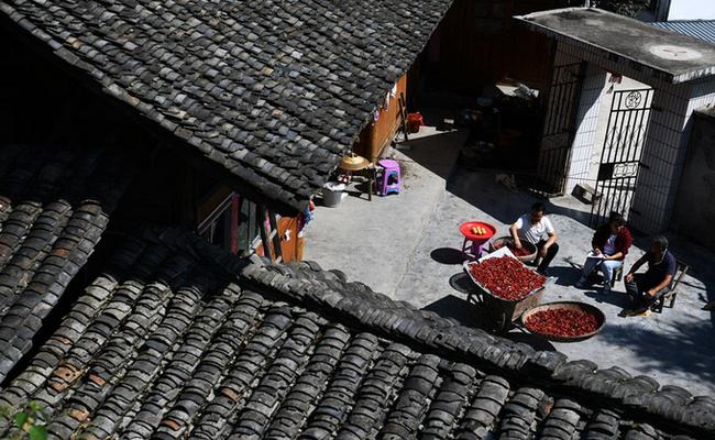 贵州省扶贫干部工作状态,贵州脱贫攻坚基层书记