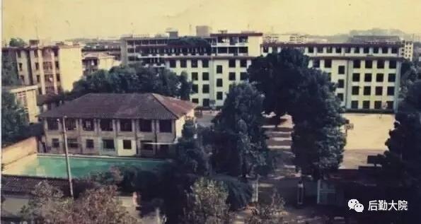 我的母校福建第三中学,我的母校三年的回忆