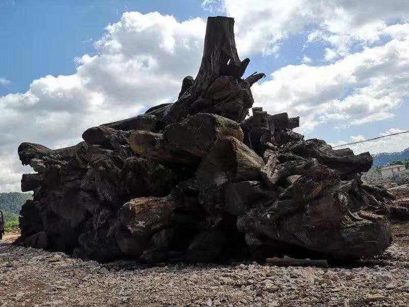 金丝楠木阴沉木和枯木有什么区别,金丝楠木阴沉木为什么夜里香味重