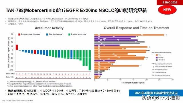 肺癌罕见基因治疗进展,肺癌只有基因突变才能靶向治疗吗