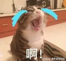 大妈乱带东西去澳洲被海关罚款,中国女游客入境被扣18天