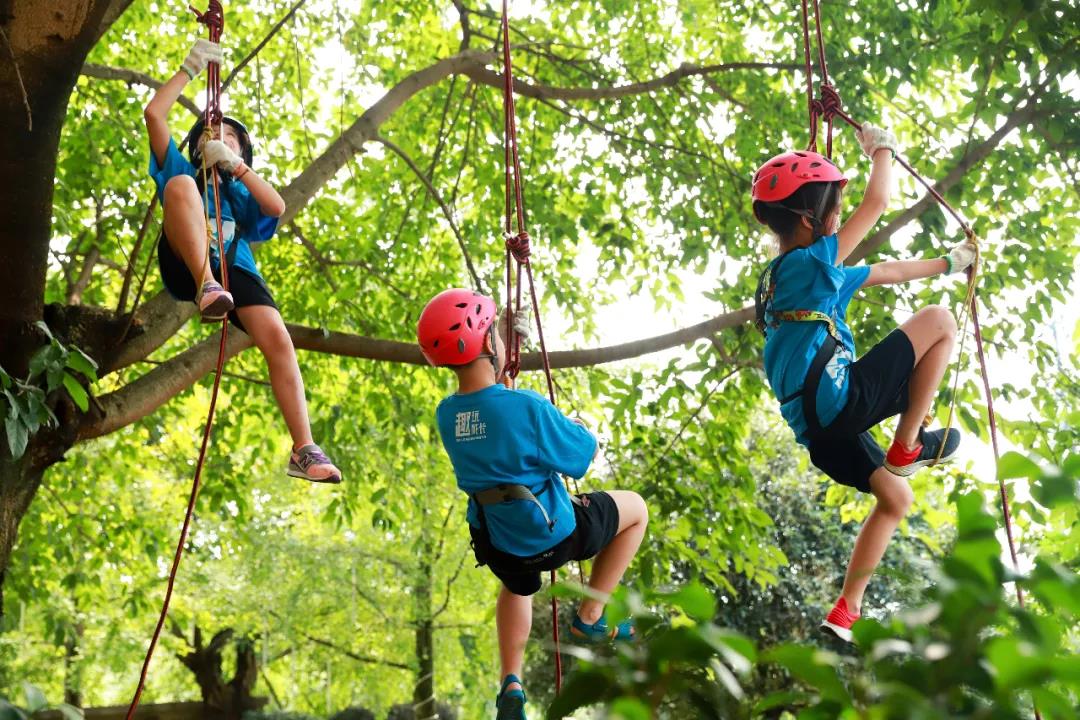 自然博物馆跟着孩子探索世界,自然博物馆跟着孩子探索