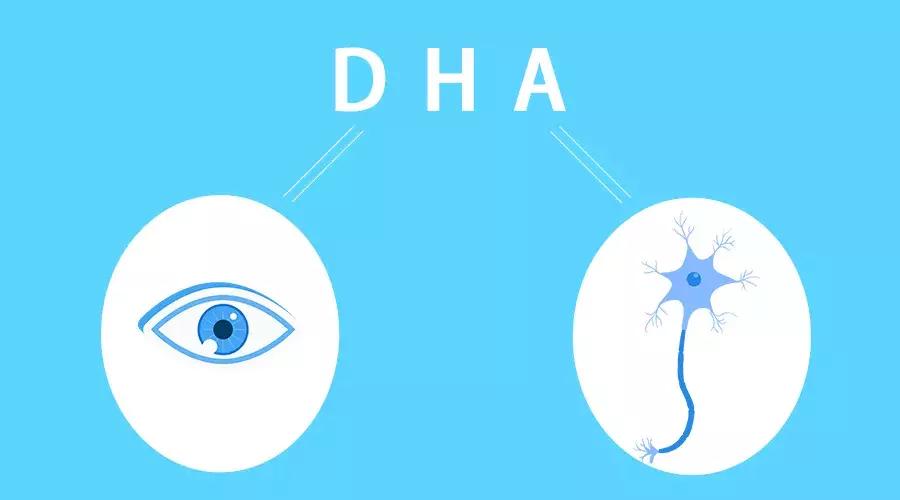 为什么儿科医生不建议吃dha,dha到底有多重要该怎么补