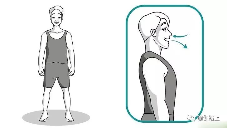 如何正确拉伸腰部的肌肉,怎样正确拉伸腰腿