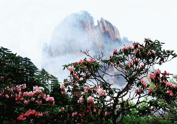 你所不知道的安徽特产,安徽有什么特产可以带走送人