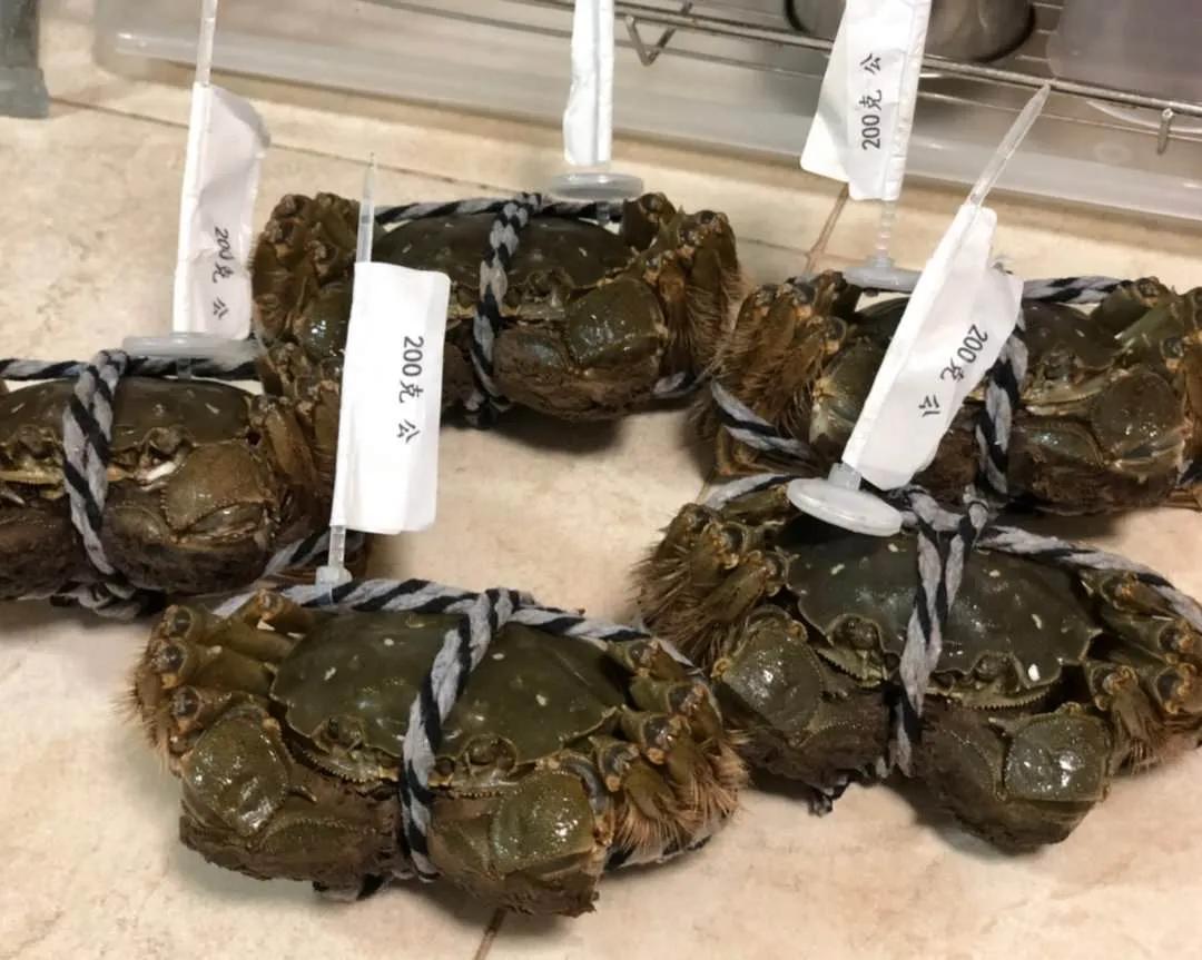 清蒸大闸蟹怎样做蟹黄不流出来,大闸蟹怎么蒸蟹黄才不散