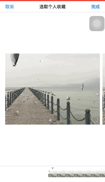 iphone手机拍照操作指南,iphone实况拍照有什么用