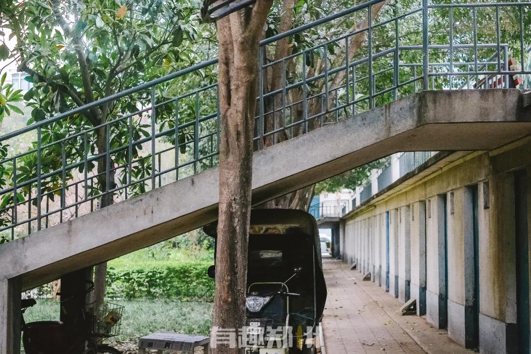 春雨落在叶子上,春雨落在树叶上的详细描写