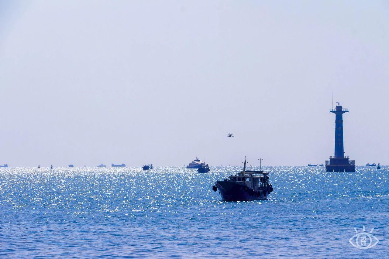 深圳65岁老人免费游景点,深圳必去十大免费网红景点