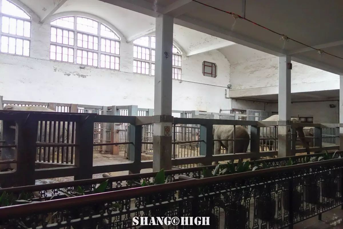 记者探访广州动物园,动物园观察动物