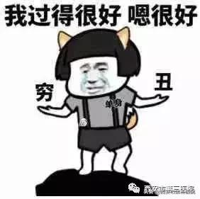 铲屎官的狗是什么品种,狗铲屎官要知道的小知识