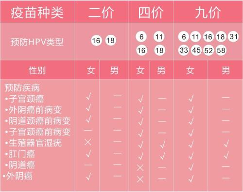 hpv疫苗是预防什么病的,4价hpv预防哪几种病毒