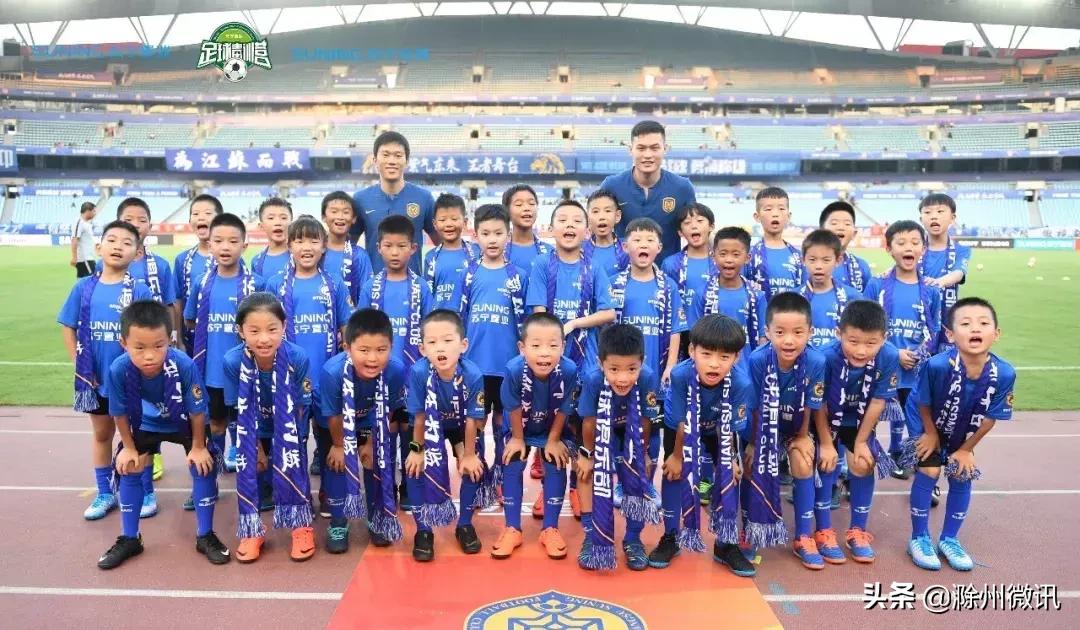 苏宁置业地产排名,苏宁几次登顶中国500强之首