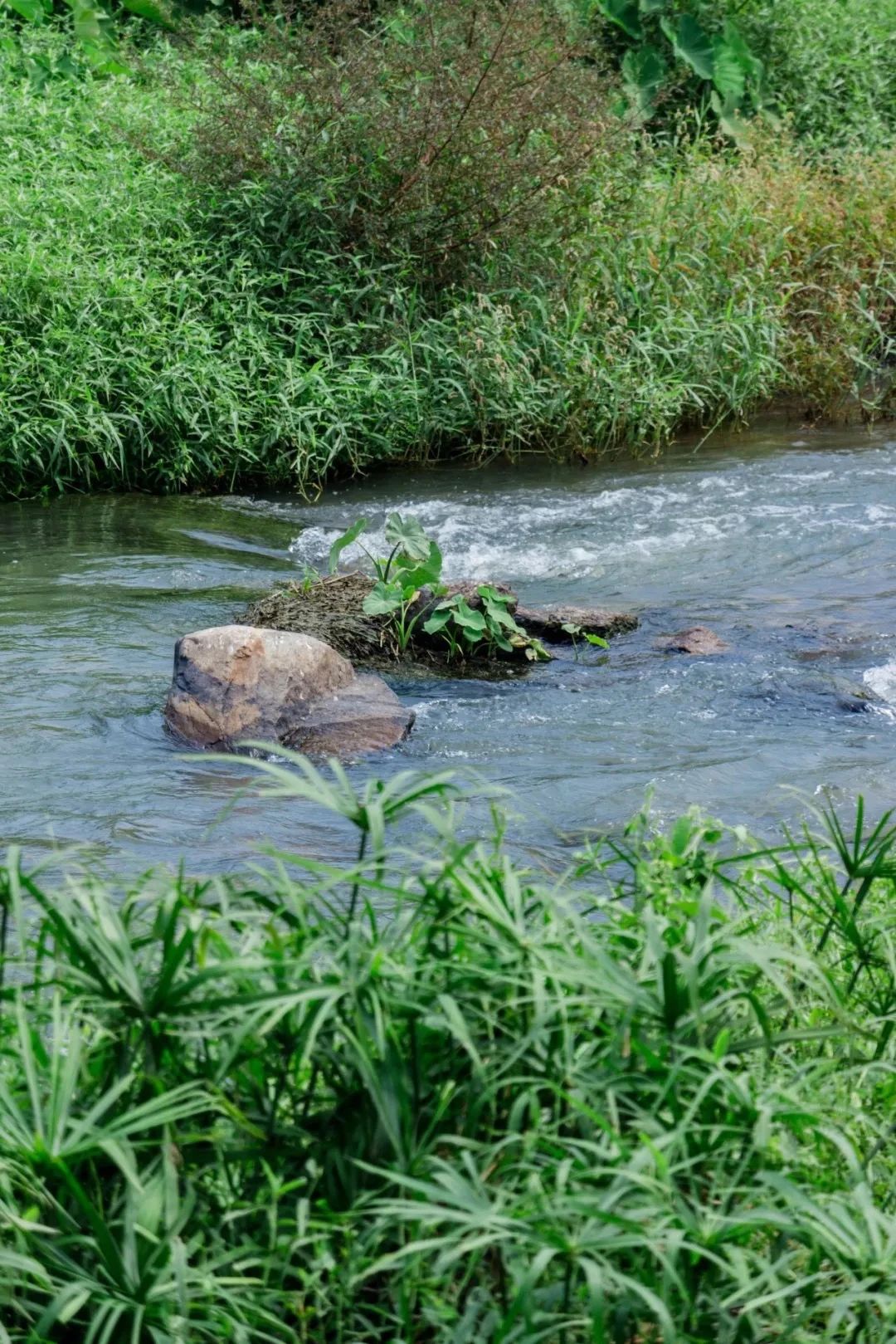 坐地铁1号线攻略,深圳1号线游玩攻略免费