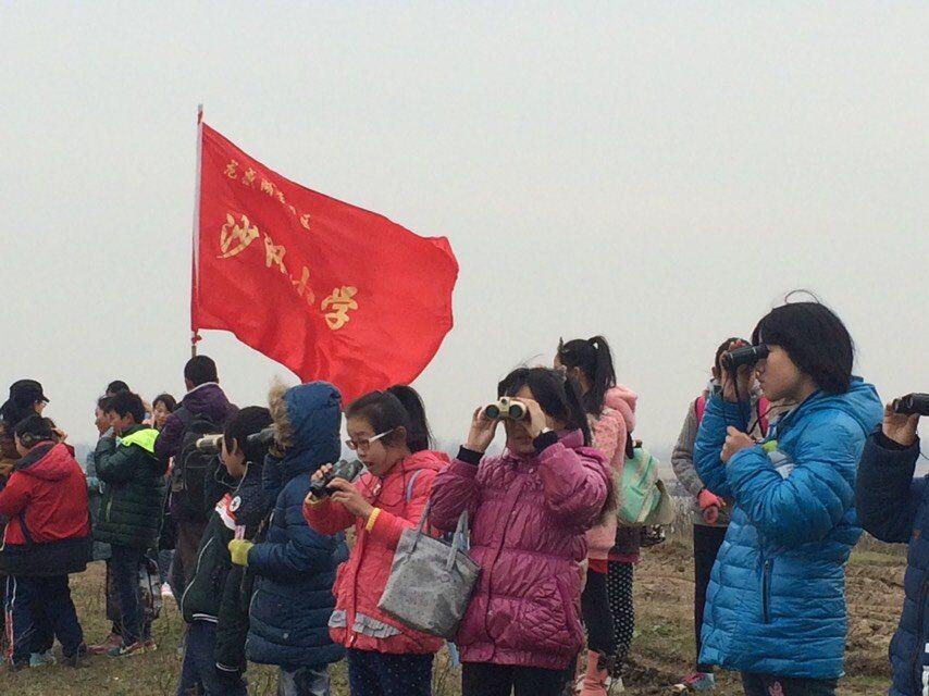 龙感湖小学视频,龙感湖中心小学教育