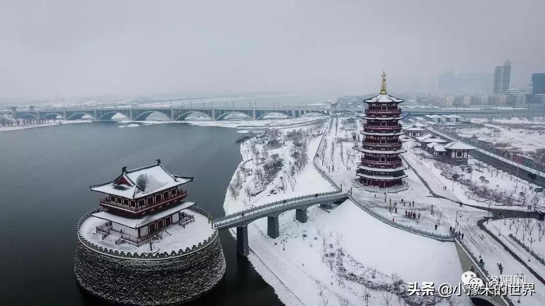 河南洛阳发布最新通知,洛阳牡丹花会向全世界发出邀请