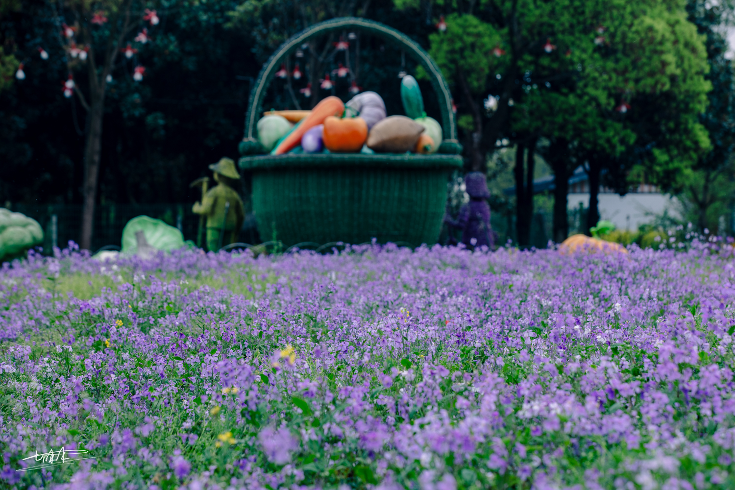 梦里水乡乌镇周庄风景视频,周庄版梦里水乡