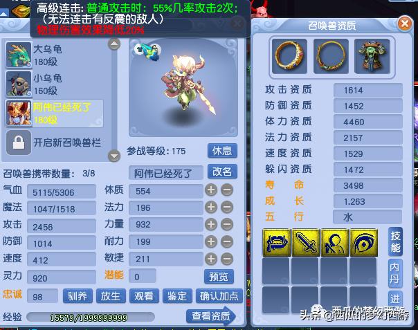 梦幻西游bb环最全攻略,梦幻西游bb鉴定