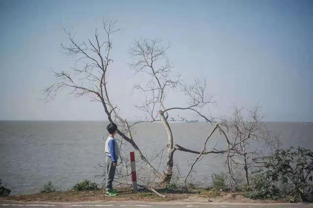 家里2个孩子总是打架怎么办,我家两个孩子天天吵架怎么办