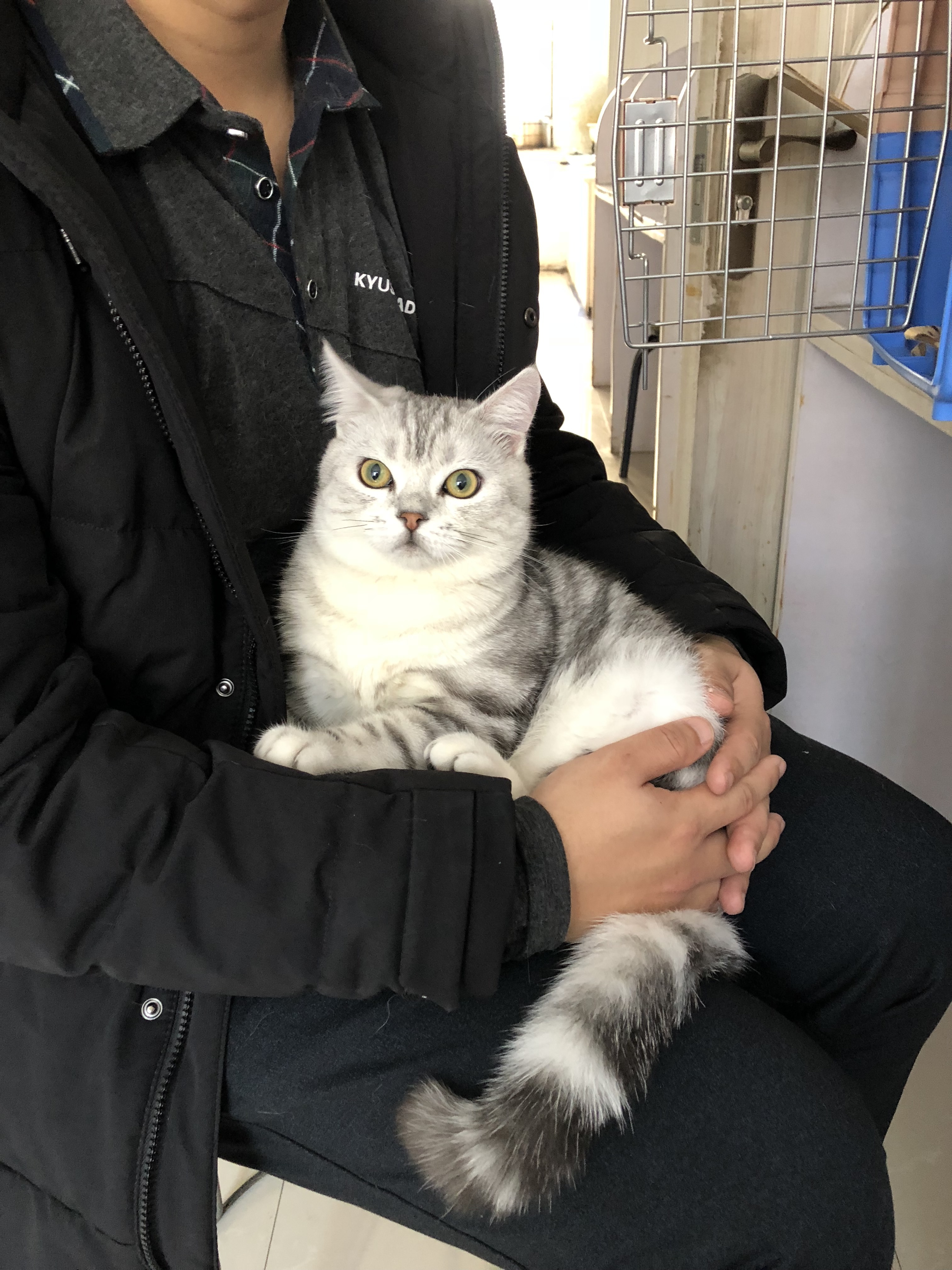 猫藓不可怕，对抗它需要的不仅仅是药物，更需要时间与耐心