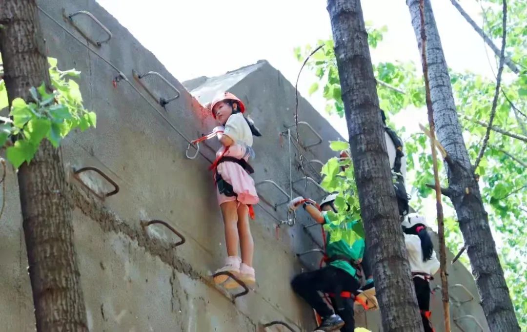 建业足球小镇怎么样了,郑州建业足球小镇恢复了么