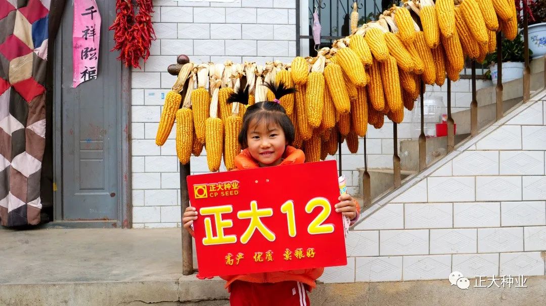 经久不衰原版视频,经久不衰王者