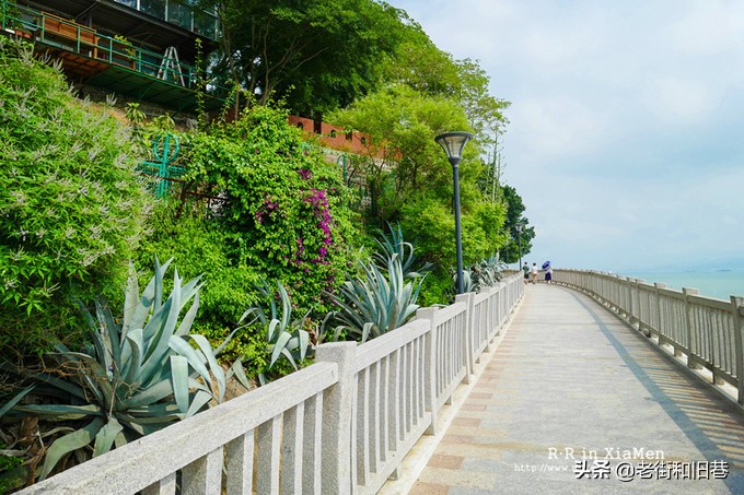 厦门四天纯玩,厦门玩4天