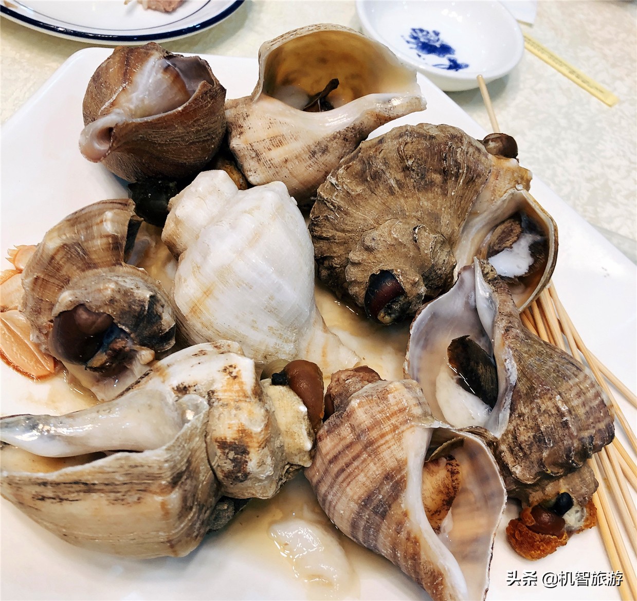 日照吴家台渔家排名前十名,日照吴家台渔家乐海鲜餐厅民宿