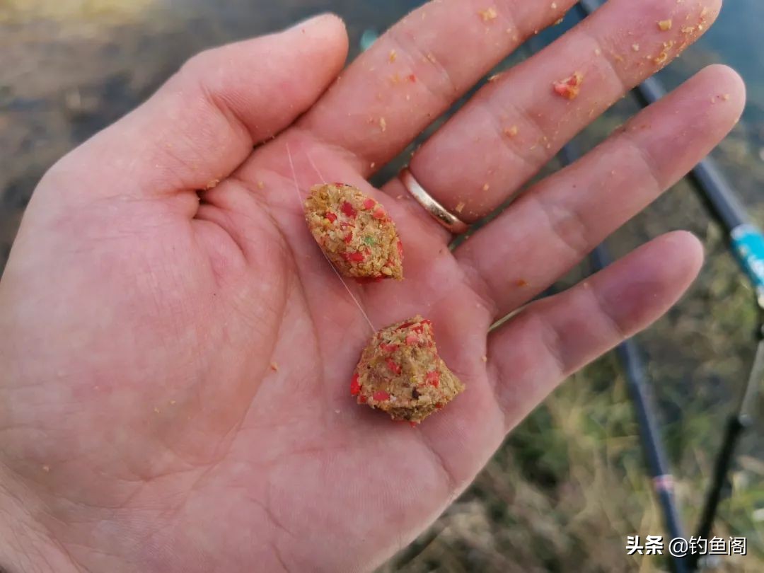 立秋以后钓鲫鱼，加这两种饵效果更好，何愁不上大板鲫