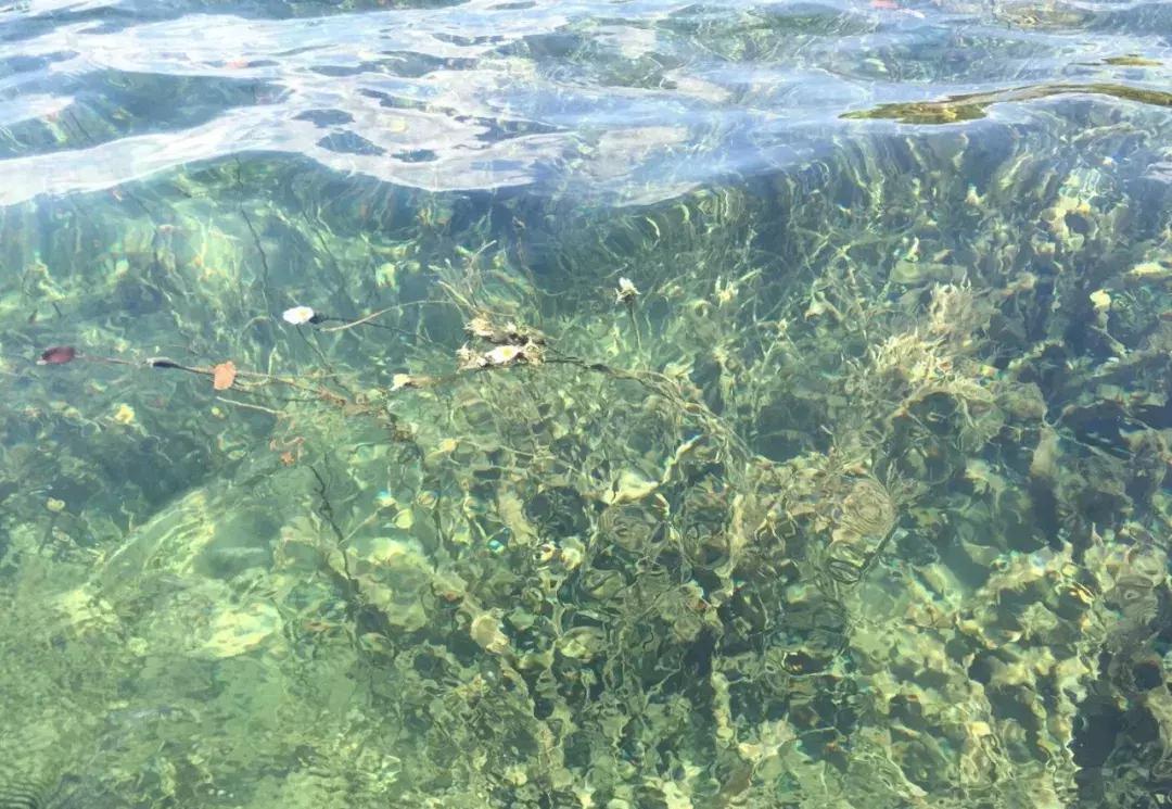 巴厘岛的坑人景点在哪里,巴厘岛十大最坑人景点图片