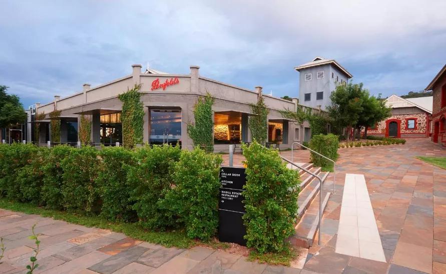 奔富在中国市场的发展历程,奔富值得收藏的产品