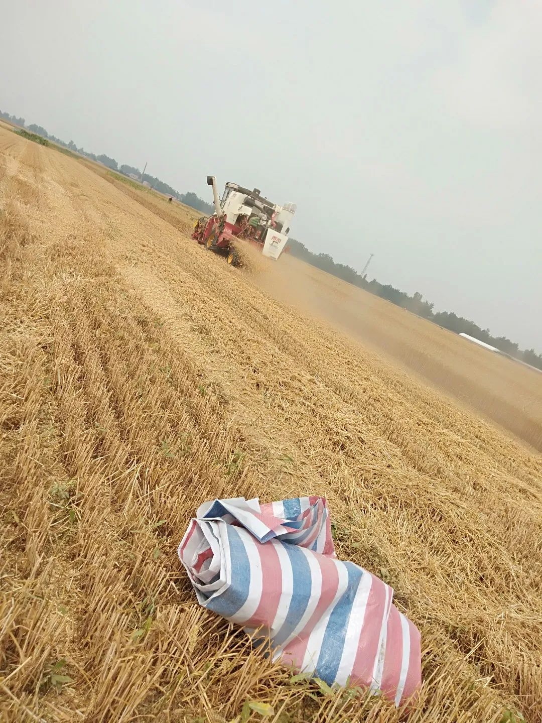 七月的晚霞好美,夏天六月的晚霞