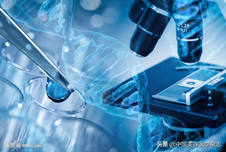 中国美容医学第一门户网站,中国美容手术结果