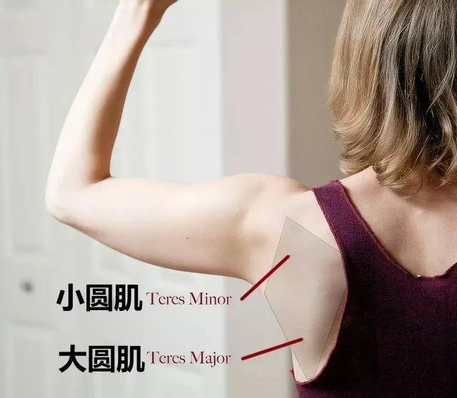 教你一个动作告别拜拜肉,消除拜拜肉必练的几个动作