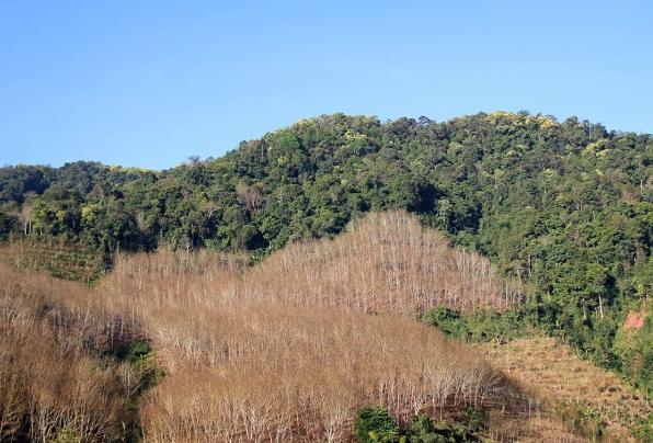 西双版纳的霾雾,西双版纳雾霾严重什么原因