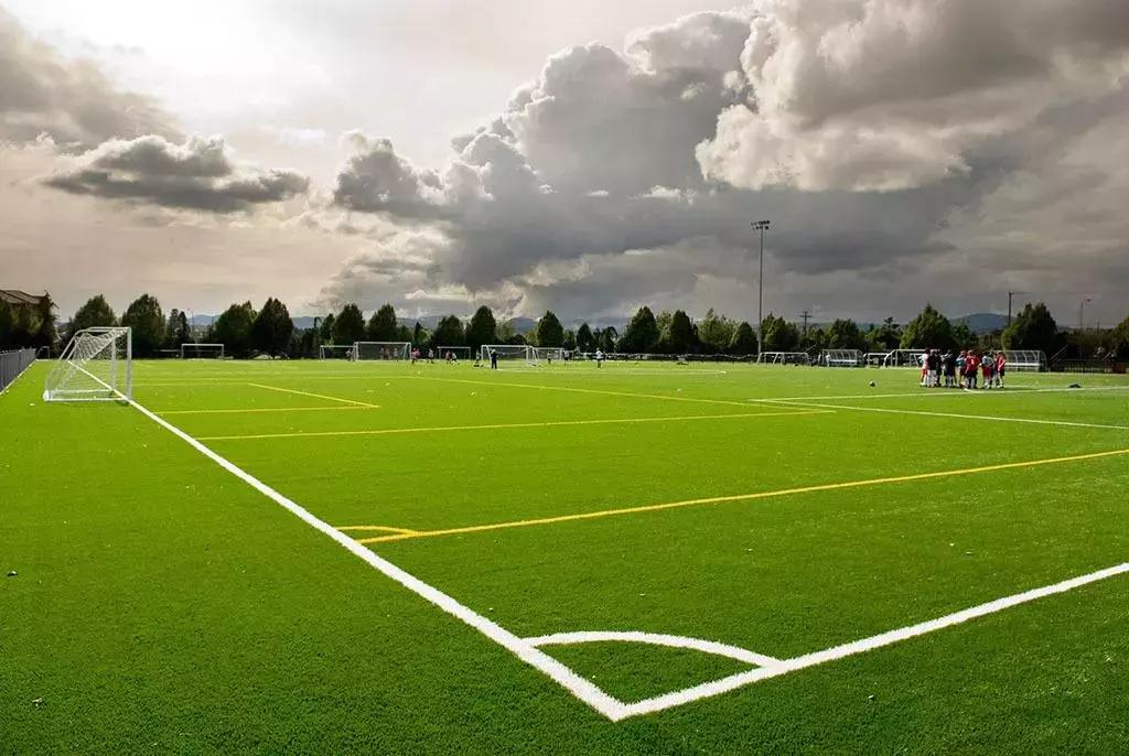 快来报名吧,快来报名吧完整视频