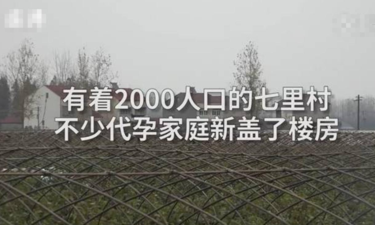 湖北有关代孕的案例,湖北最新代孕案例