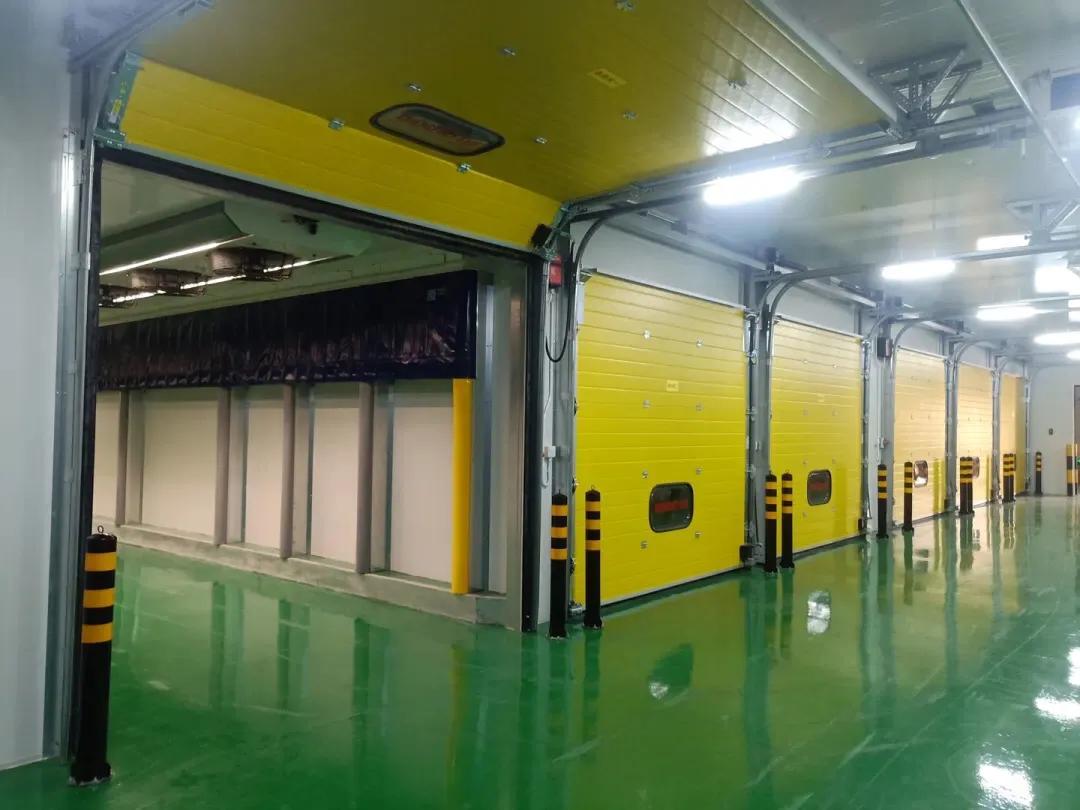 奇异果硬的怎么催熟,奇异果成熟与上市时间