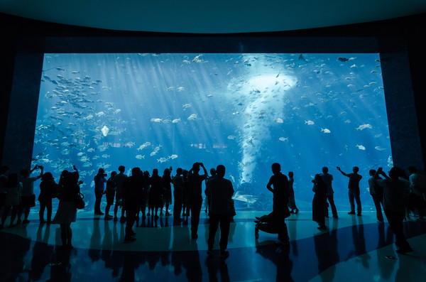 三亚旅游度假公寓酒店,三亚海岸线海景度假公寓