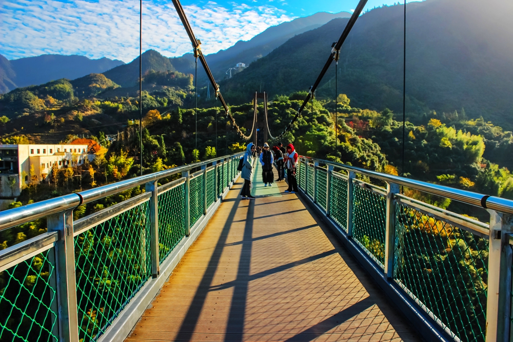 婺源篁岭梯田花海,婺源篁岭欢乐颂