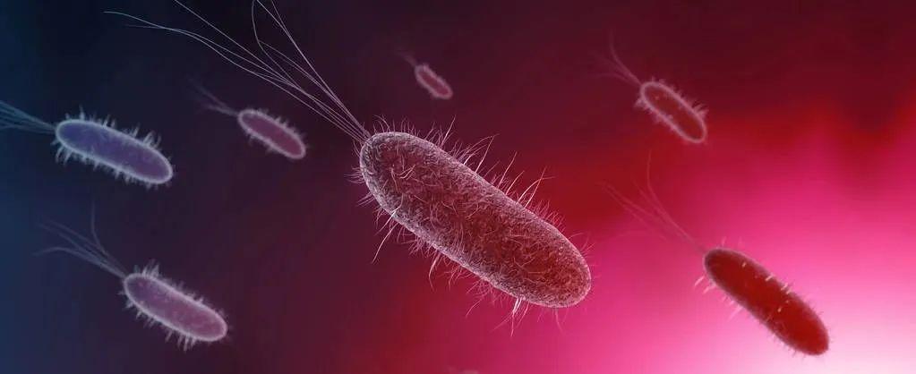 美国教授发表100万个阴道微生物基因集并开出公司，挖到宝了？