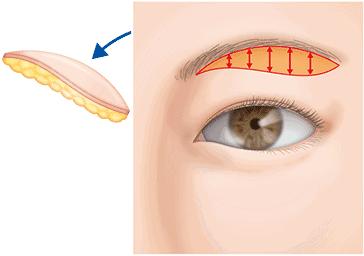 医生不会说的,医生不会说的秘诀