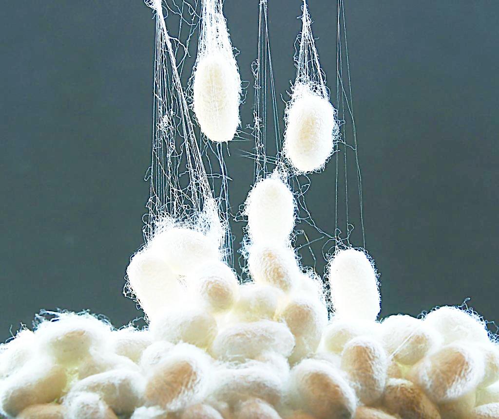 鍌呯惏鏂闃呰绛旀,鍌呯惏鏂璇戞枃