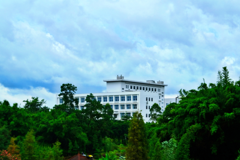 云浮南山森林公园锦鸡,云浮南山森林公园航拍