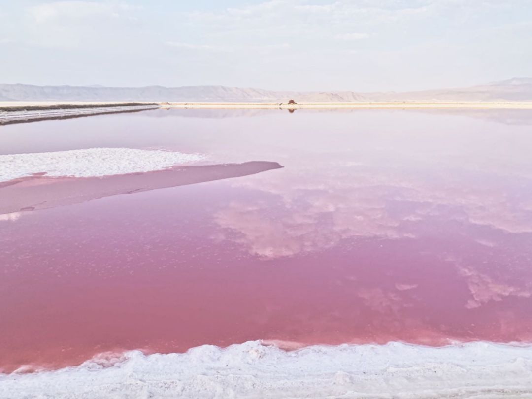 伊朗：黑纱下骚动的嬉皮青年