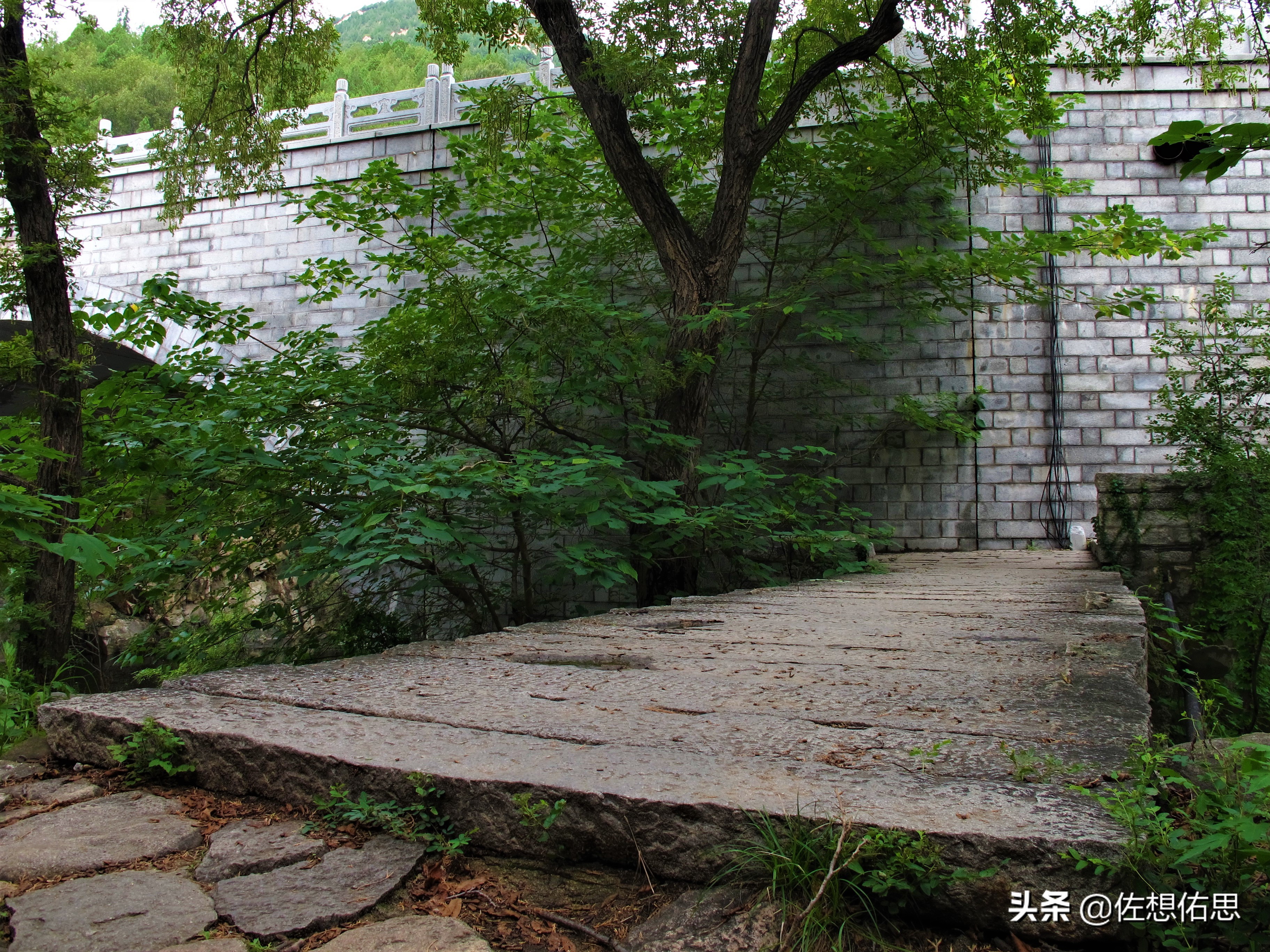 泰安扇子崖免门票吗,扇子崖门票多少钱