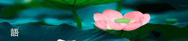 多景诗写作手法,写景的诗有技巧吗